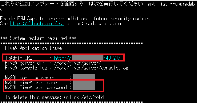 サーバーでTxAdminの接続情報を確認する④