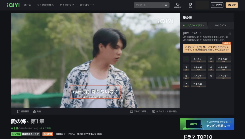 iQIYI 日本語字幕