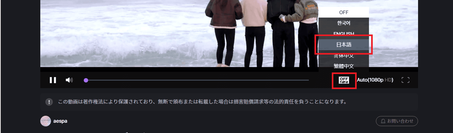 字幕設定は動画プレイヤーの設定で変更可能