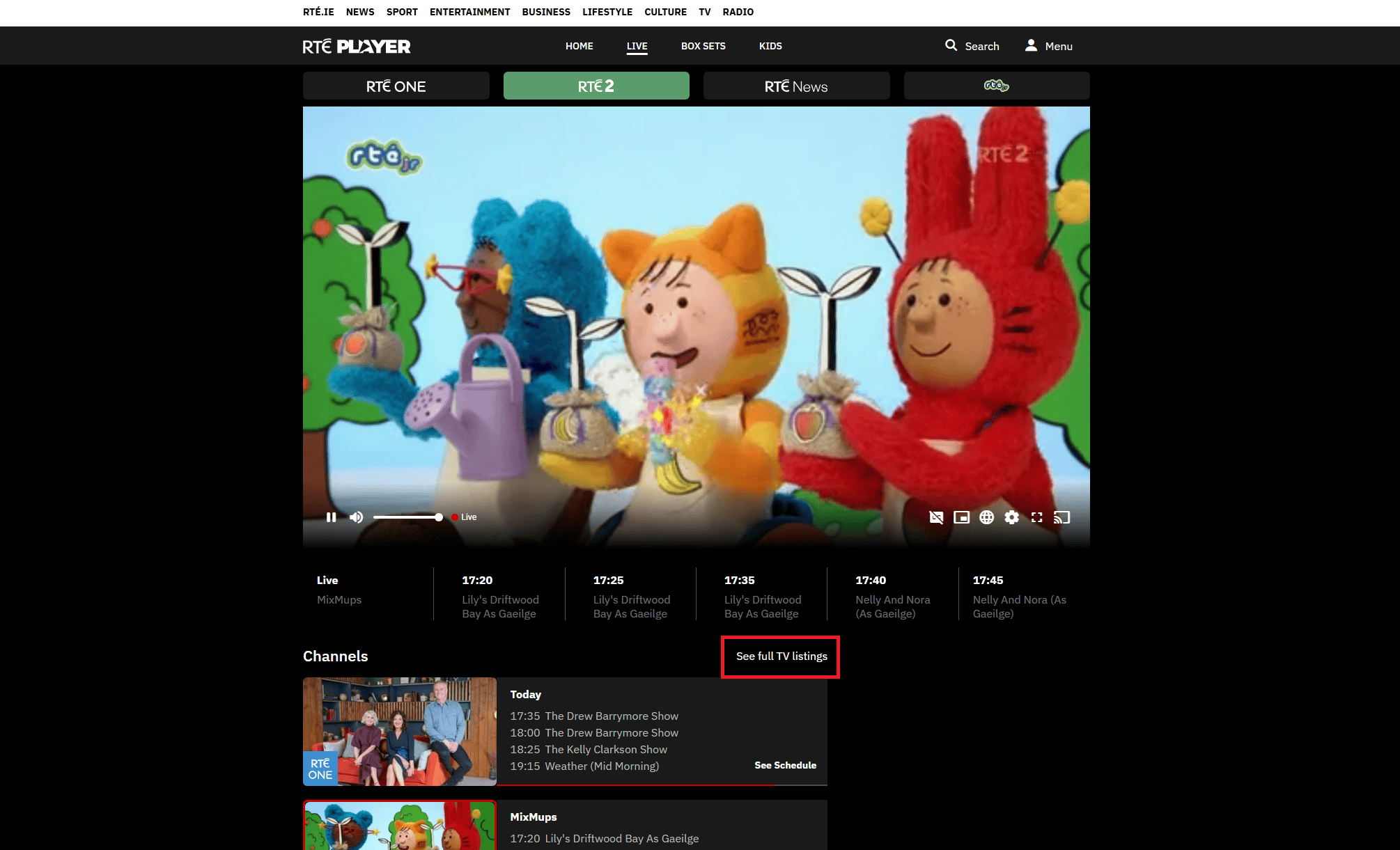 VPN経由でRTÉ Playerを視聴する方法③