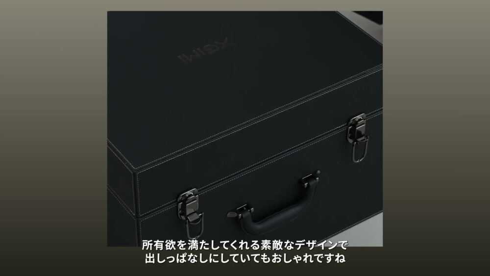 TITAN Noir Max専用のレザー調キャリーケース